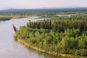 Nushagak River