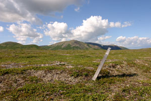 Mining claim stake at Upper Talarik Creek