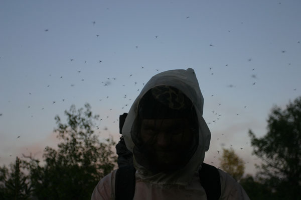 mosquitos surrounding hiker- southwest Alaska