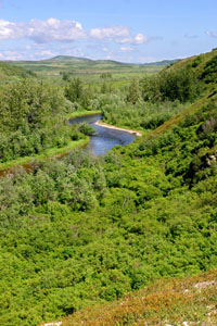 Upper Talarik Creek
