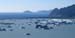 IMG_9592 - Bear Glacier lake